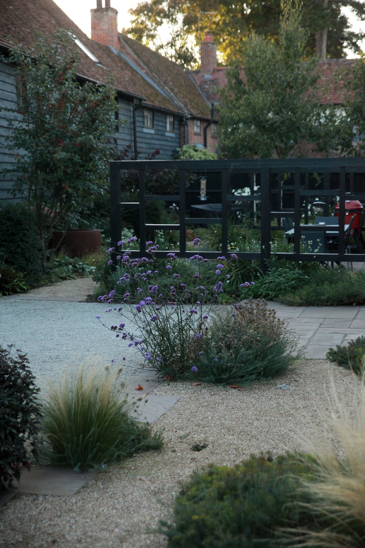 trellis gravel verbena