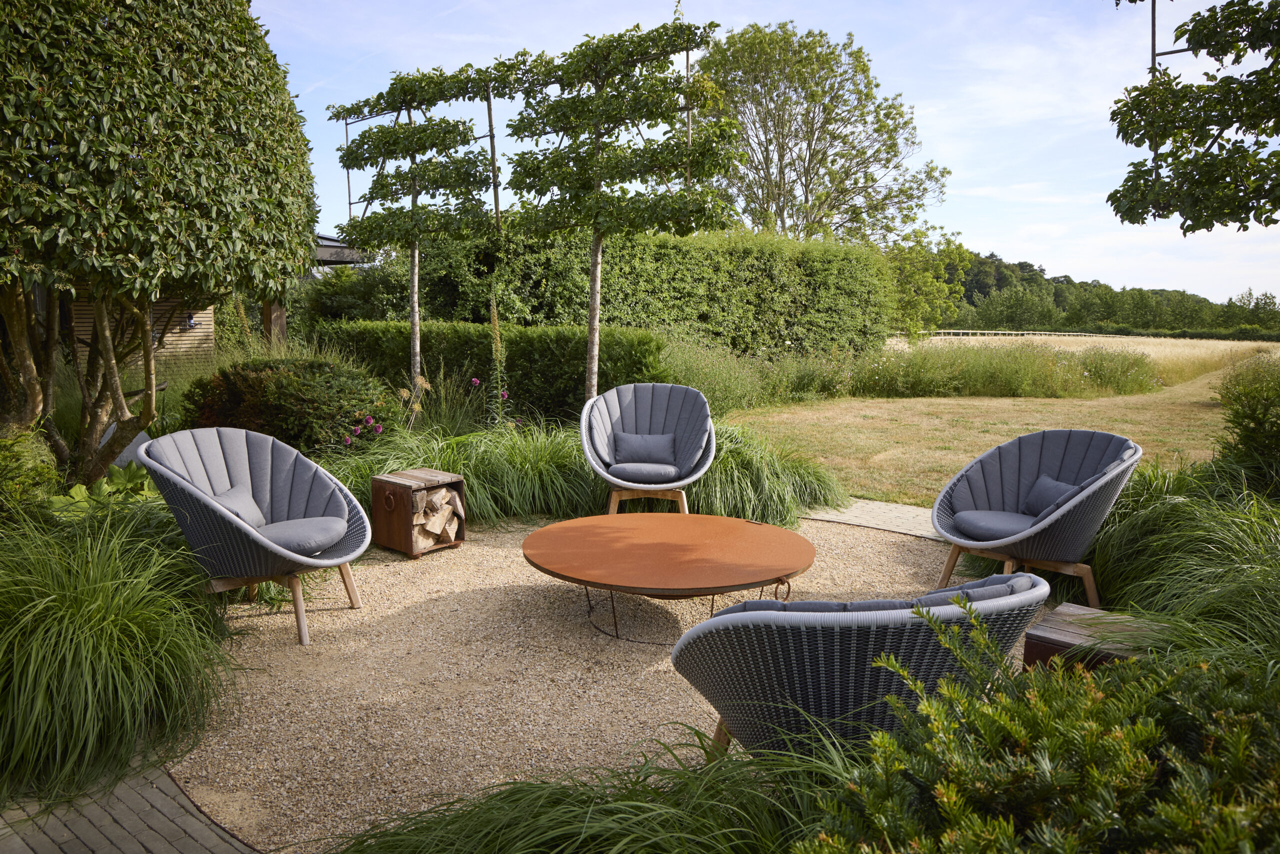 Fire pit and meadow