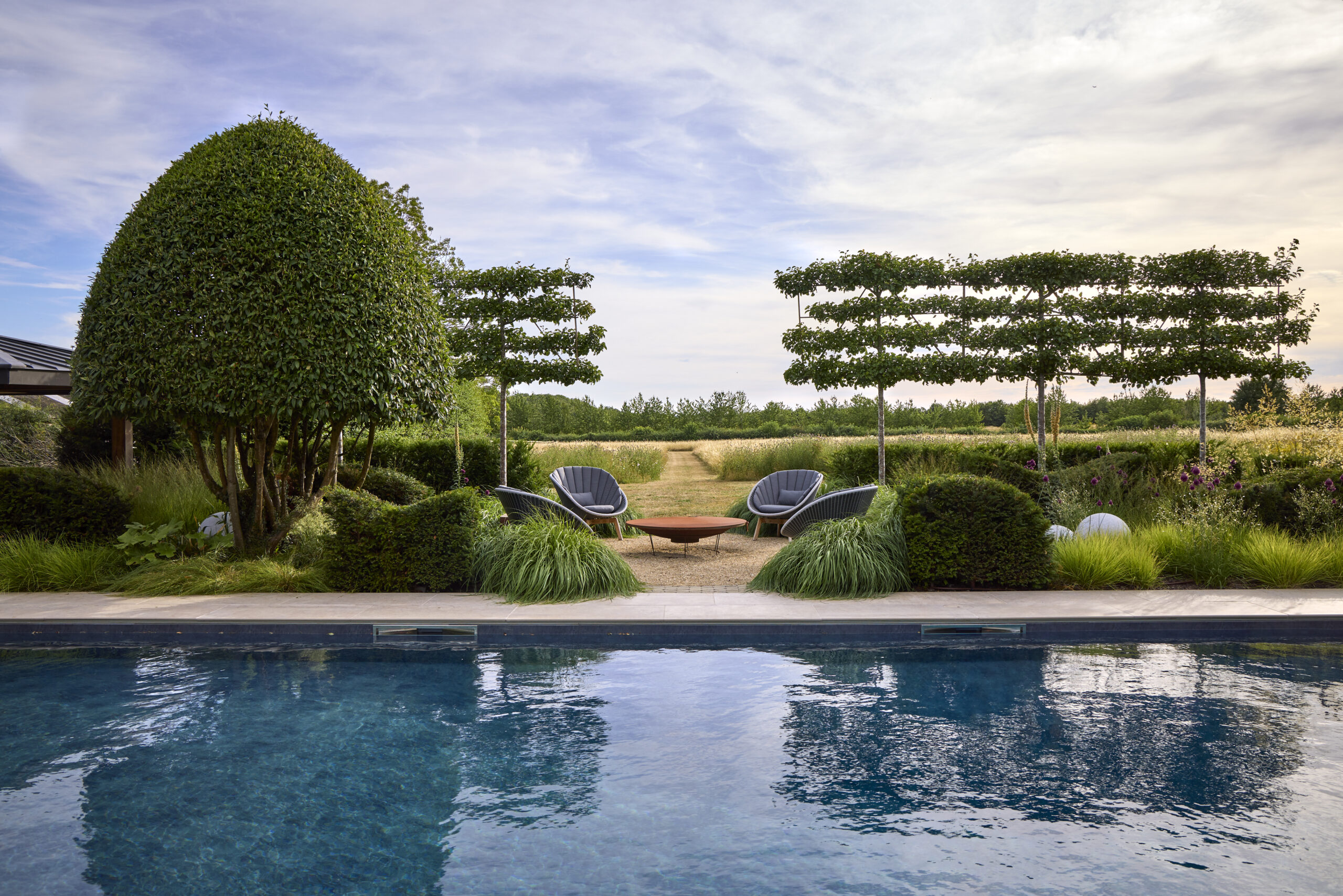 espalier pears and yew