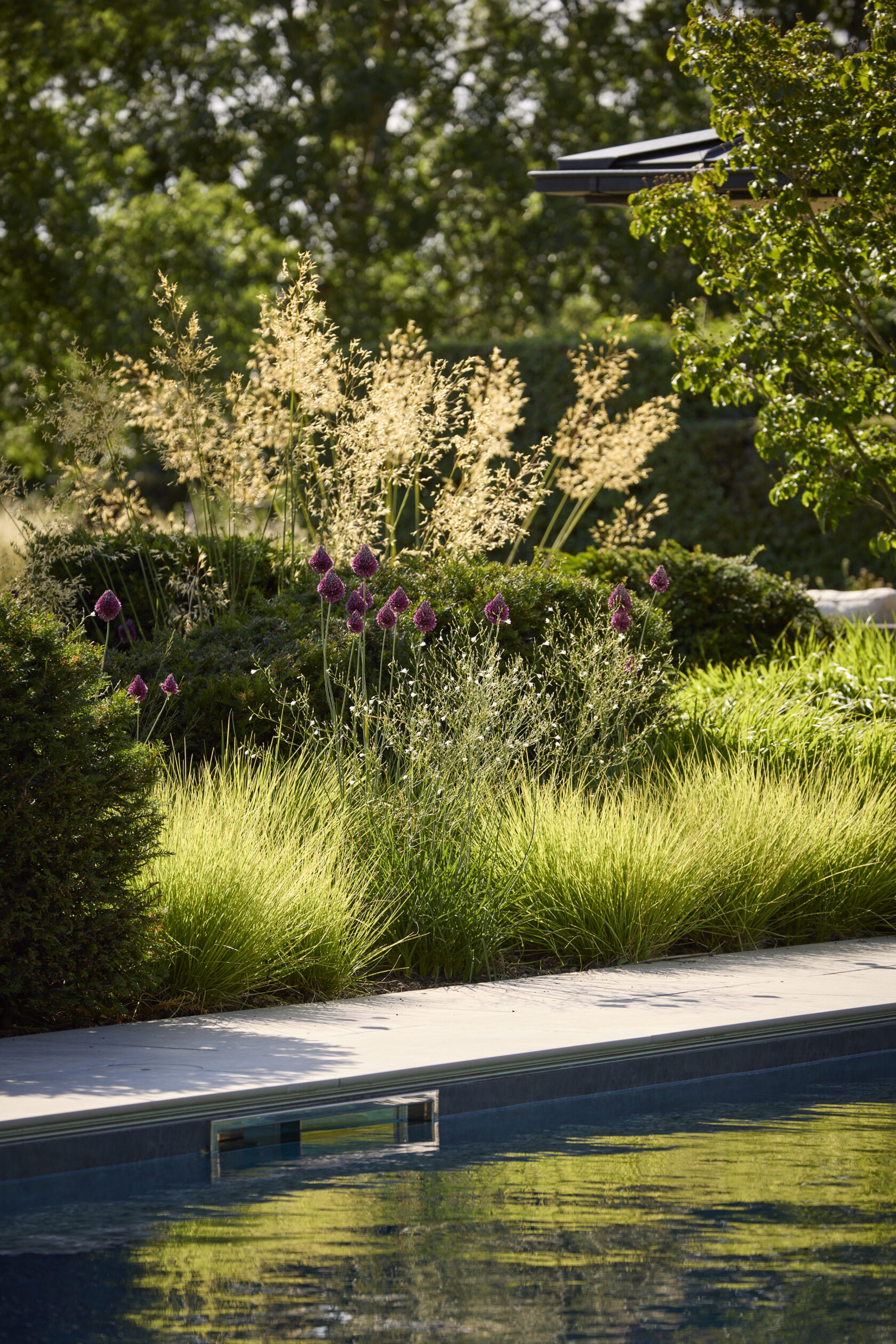 stipa and sesleria