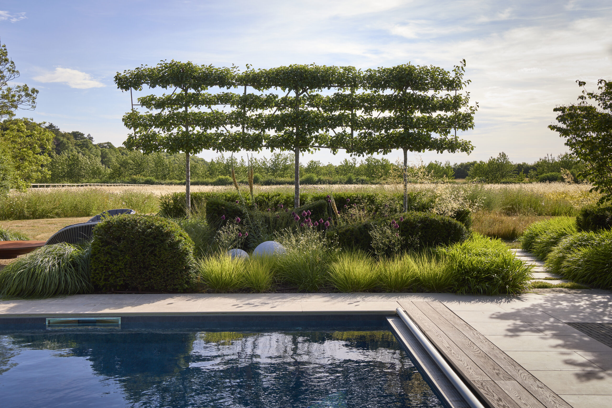 yew and grases
